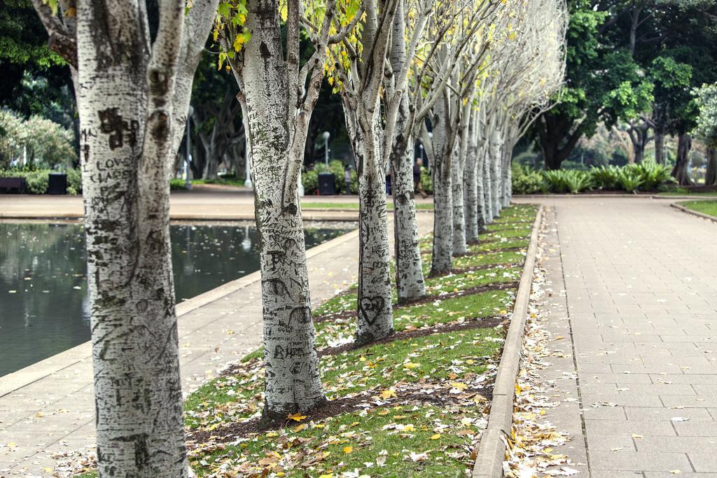 Oaks Sydney Hyde Park Suites 外观 照片